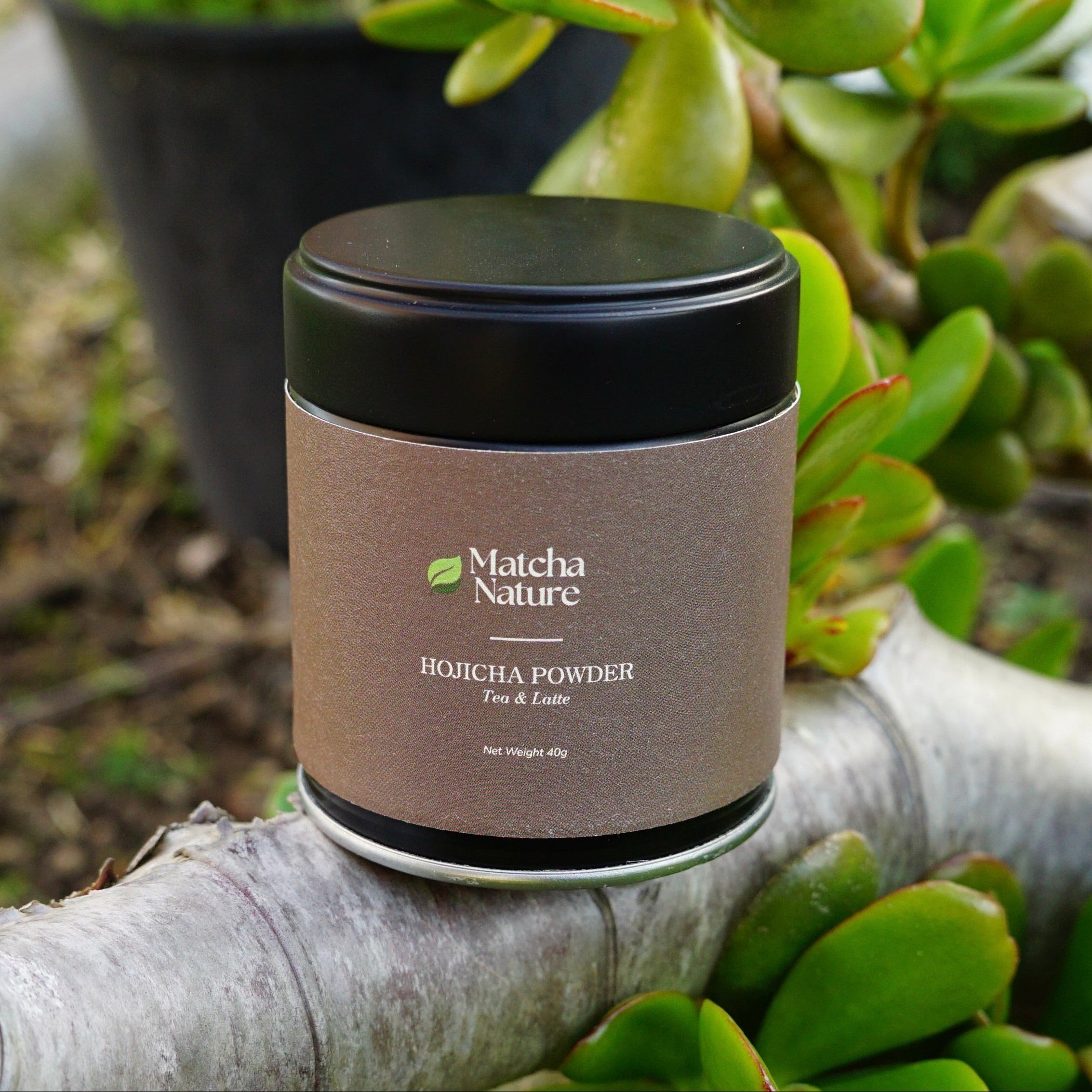 Hojicha