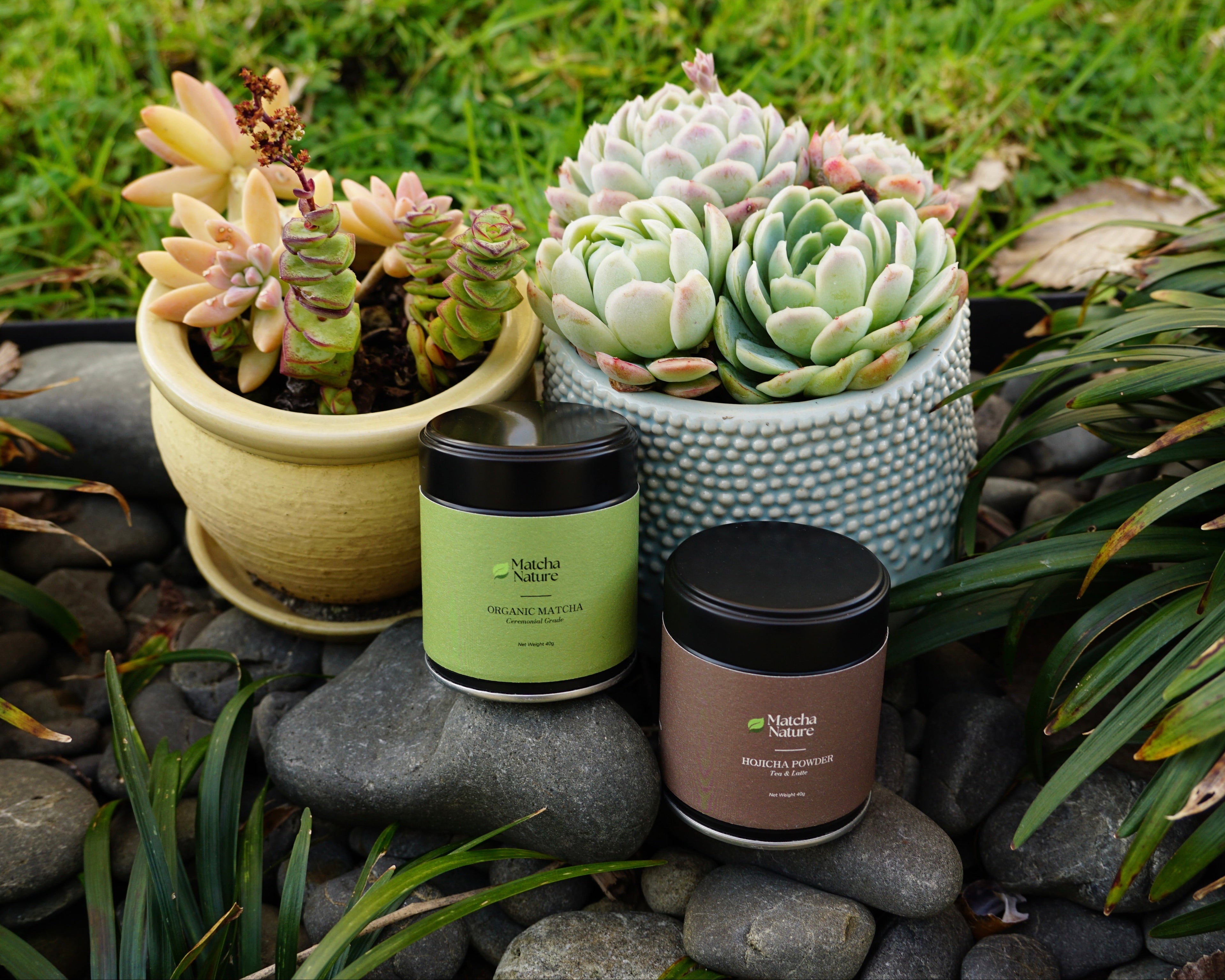 Ceremonial & Hojicha Duo Set