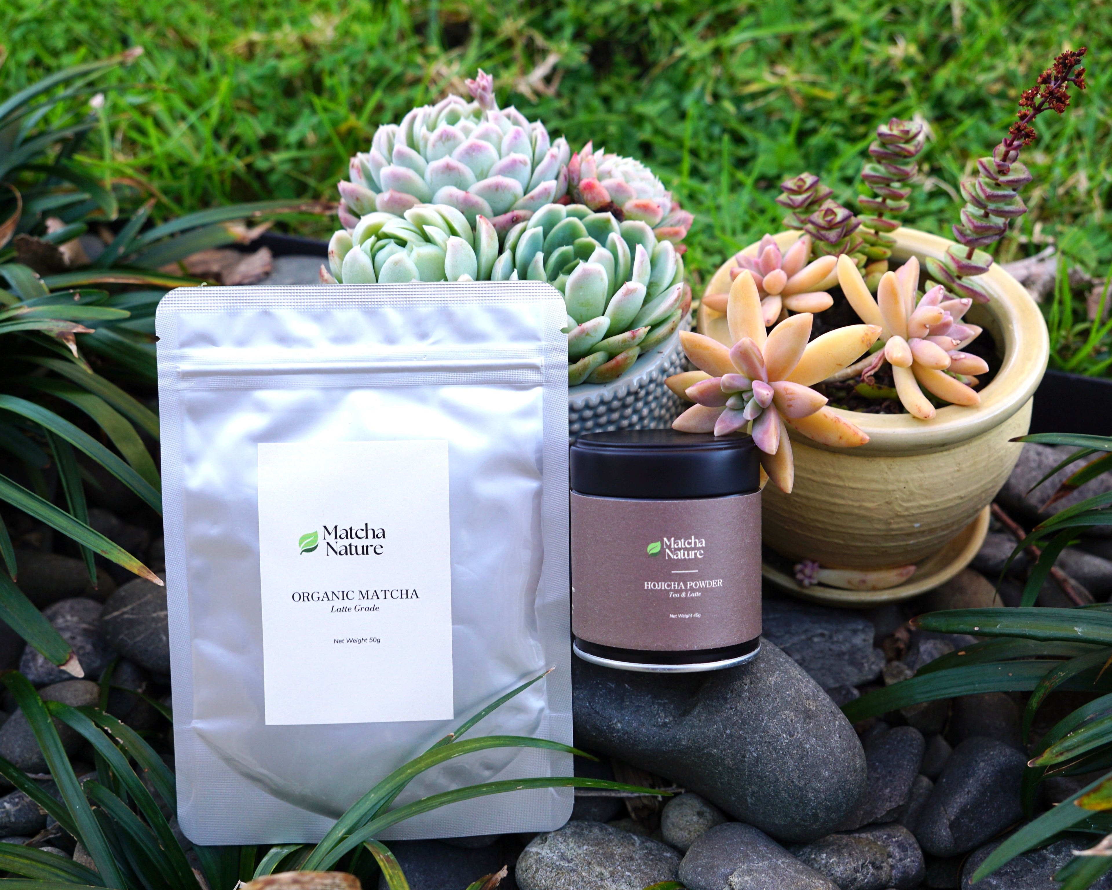 Everyday Latte & Hojicha Value Set