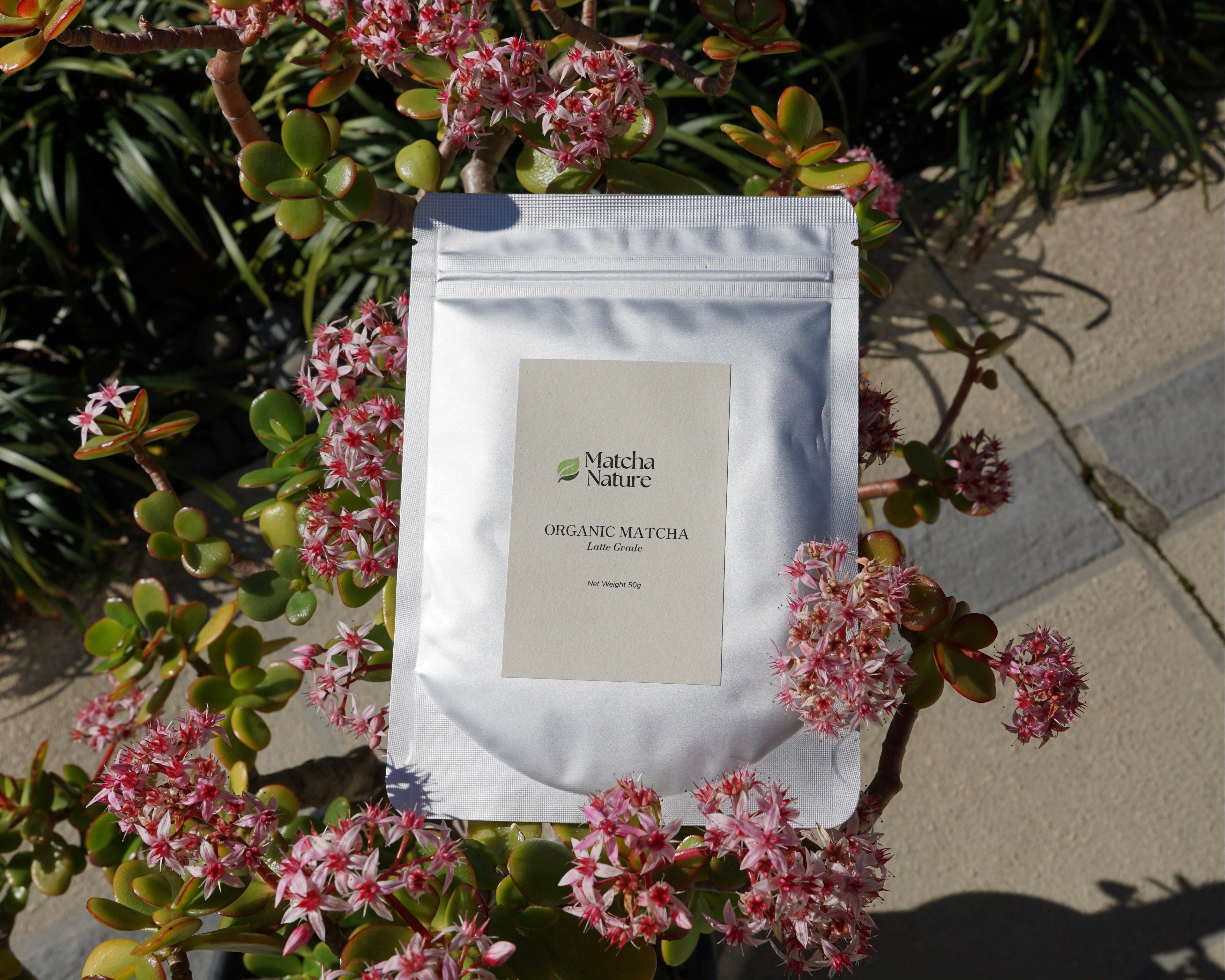 Organic Everyday Latte Grade Matcha